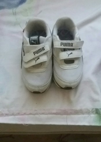 Puma 26