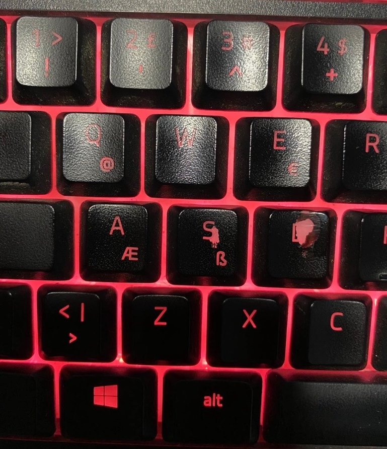 Razer Rgb Gamer klavye - Görsel 3