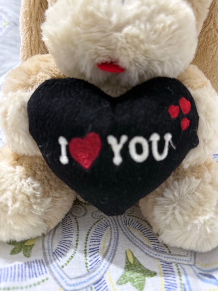 Kalp Detaylı Kahverengi Peluş Oyuncak - Görsel 2