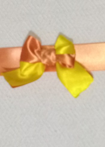 aksesuar - Görsel 2