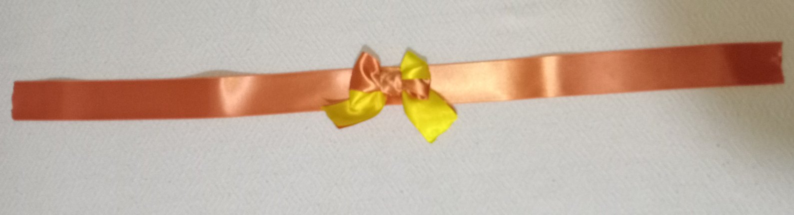 aksesuar - Görsel 2