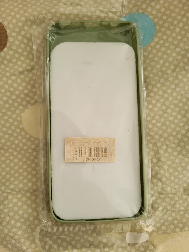 Şeffaf Pastel Yeşil Bohem Telefon Kılıfı - Görsel 2