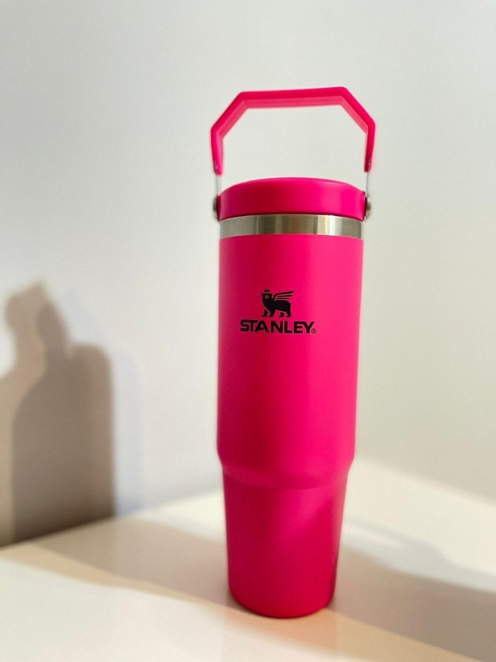 Stanley Barbie Renkli Çocuk Termos Şişesi - Görsel 4