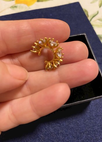 Çelik Kıkırdak Küpe - Görsel 2