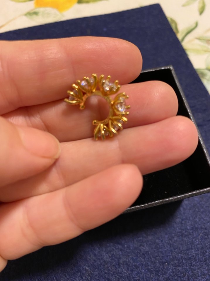 Çelik Kıkırdak Küpe - Görsel 2