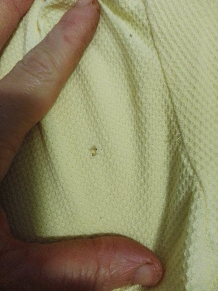 Kısa  Polo Yaka Tişört l beden küçük bir deposu var son görselde - Görsel 4