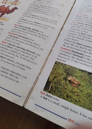 First Dictionary English-English - Görsel 8