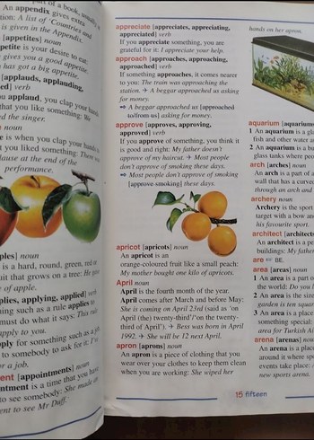 First Dictionary English-English - Görsel 5