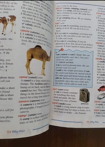 First Dictionary English-English - Görsel 6