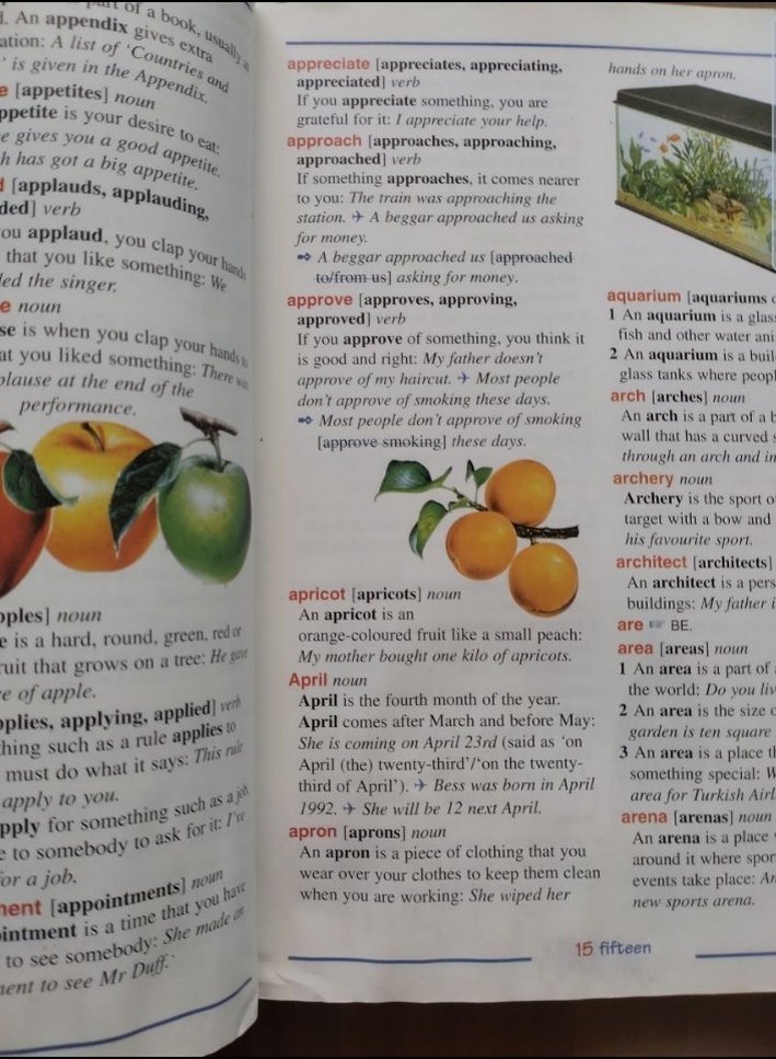 First Dictionary English-English - Görsel 5