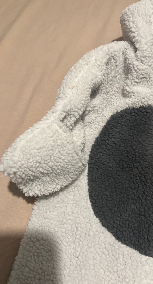 Gri Erkek Bebek Peluş Tulum - Görsel 2