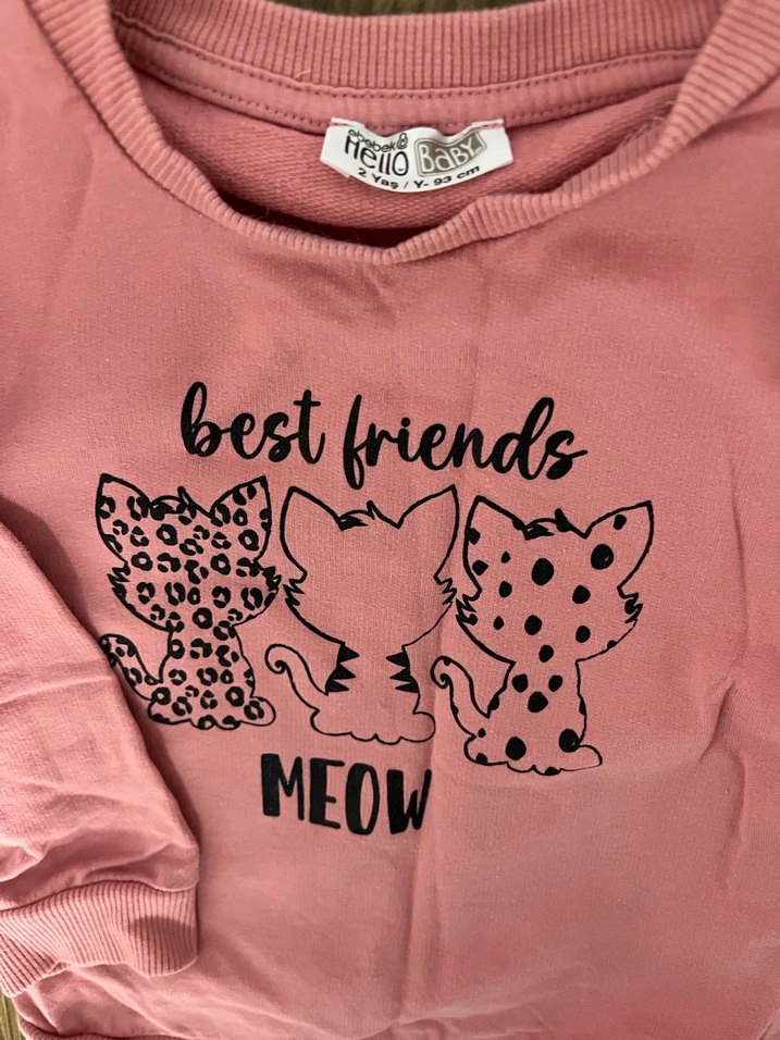 Kız Çocuk Pembe Uzun Kollu Baskılı Sweatshirt - Görsel 2