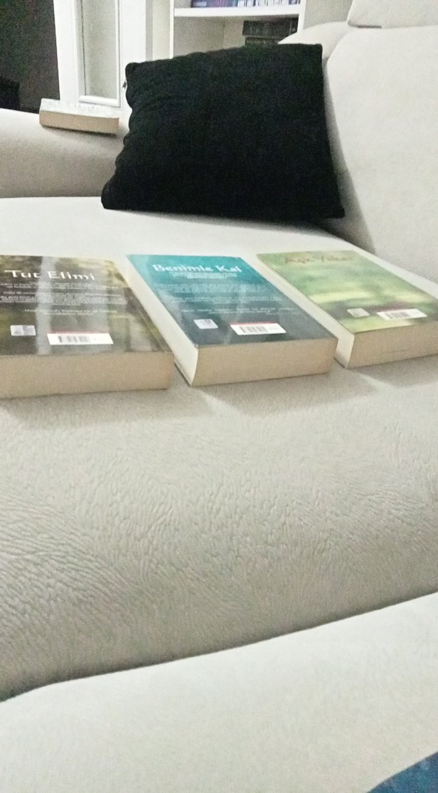 Rebecca Donovan 3'lü Roman serisi - Görsel 3