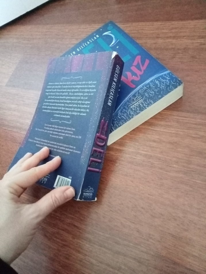 Gülşen Kılıçaslan'dan Deli ve Deli Kız Romanları - Görsel 3