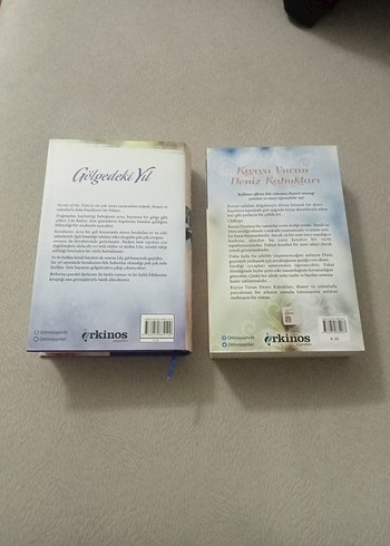 Hannah Richell Roman:Gölgedeki Yıl, Kıyıya Vuran Deniz Kabukları - Görsel 2