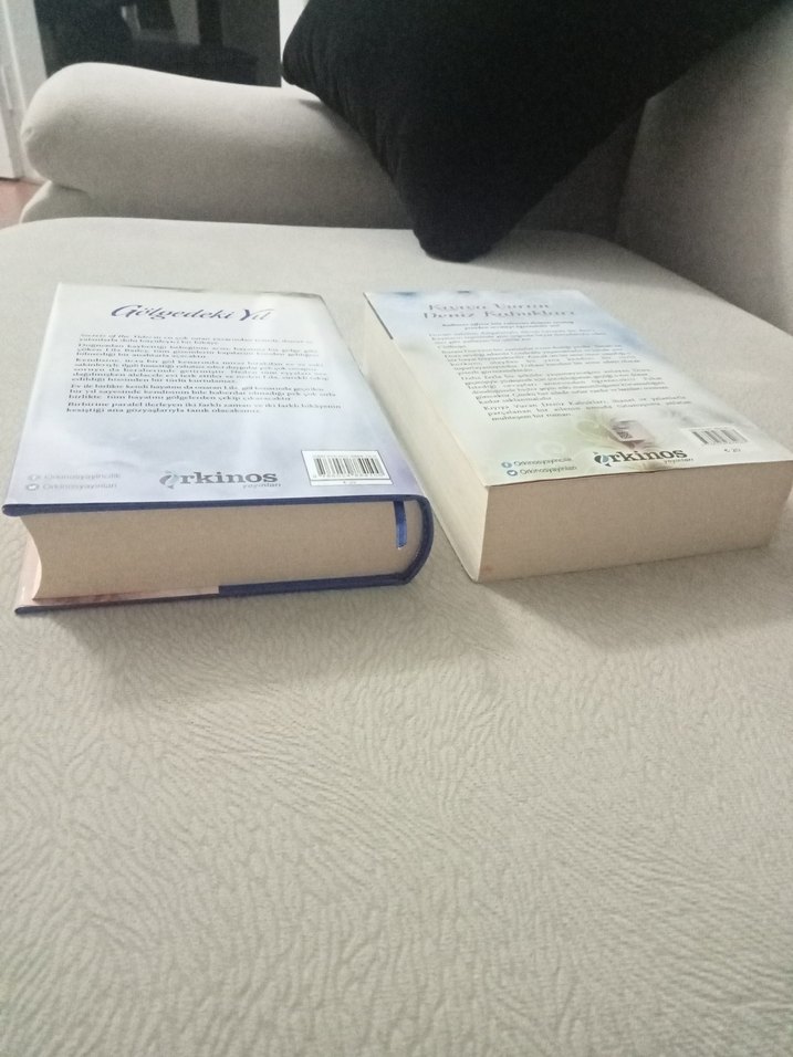 Hannah Richell Roman:Gölgedeki Yıl, Kıyıya Vuran Deniz Kabukları - Görsel 3