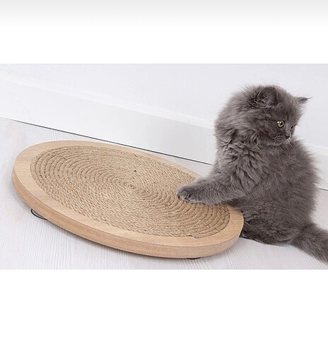 Kedi tırmalama tahtası