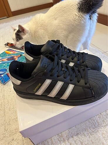 Adidas Adidas Superstar