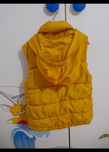 Sarı Erkek Çocuk Fermuarlı Yelek - Görsel 2
