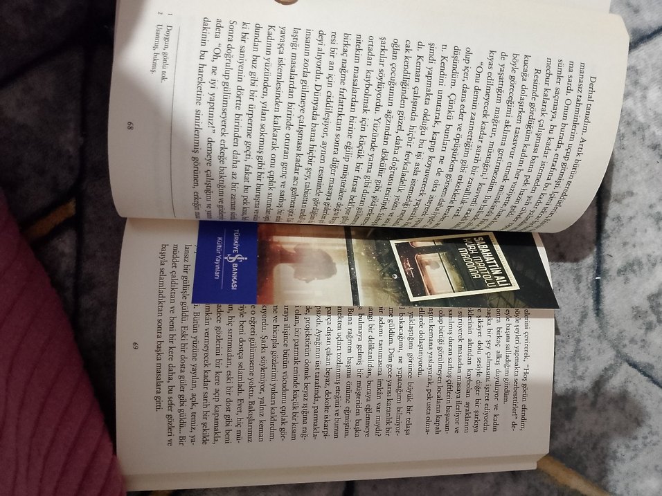 Sabahattin Ali - Kürk Mantolu Madonna - Görsel 4