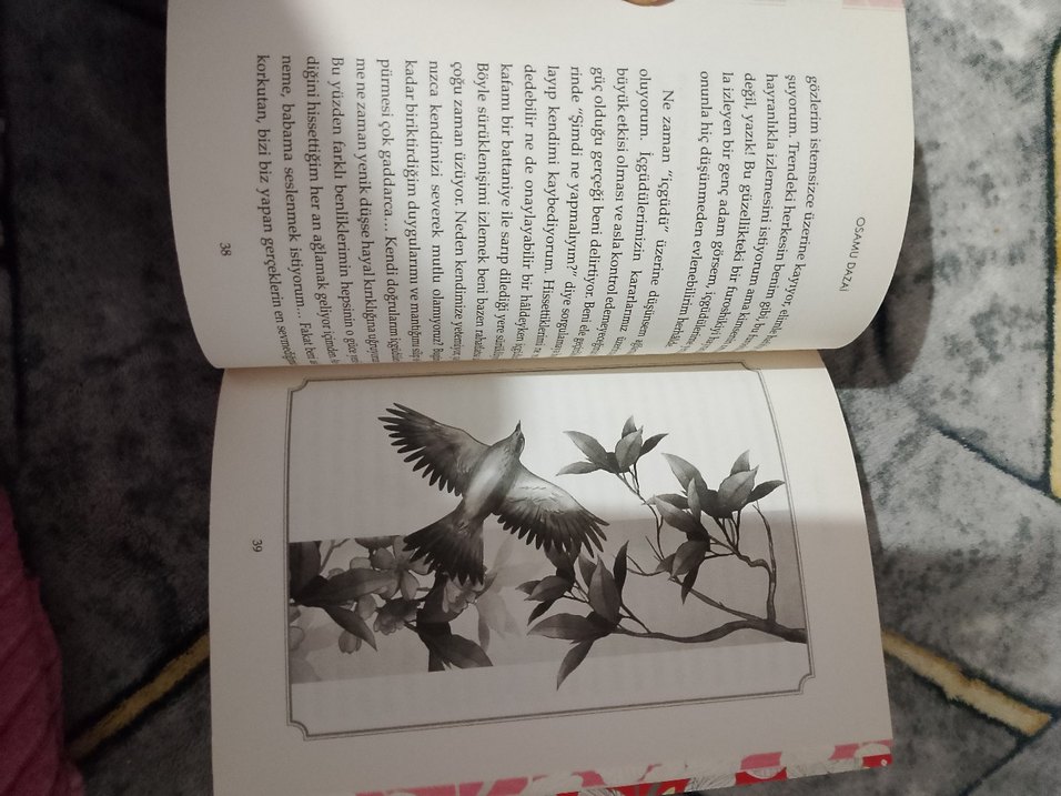 Öğrenci Kız - Görsel 5