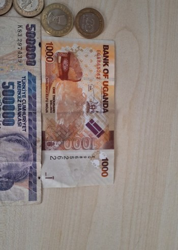 Altın ve Paralarla Nadir Banknot Koleksiyonu - Görsel 3