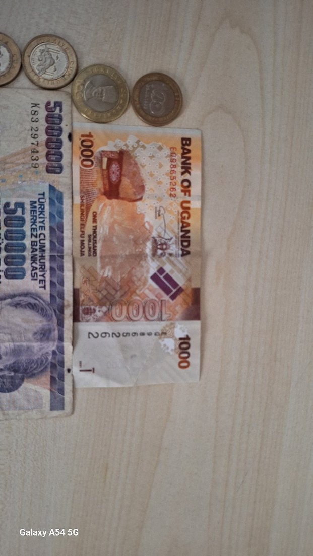 Altın ve Paralarla Nadir Banknot Koleksiyonu - Görsel 3