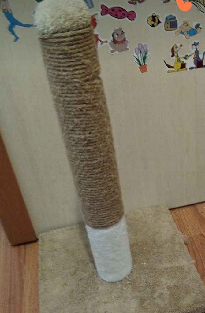 Bej ve Gri Kedi Tırmalama Direği - Görsel 2