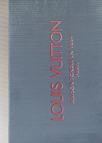 Louis Vuitton kadın spor ayakkabı - Görsel 2