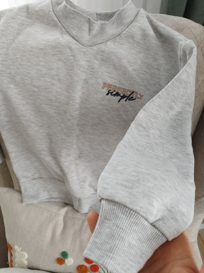 Gri Erkek Çocuk Sweatshirt Uzun Kollu - Görsel 2