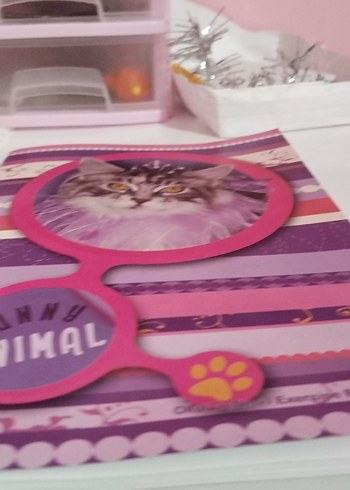 Renkli Pembe Kedi Aksesuarı Defteri - Görsel 2