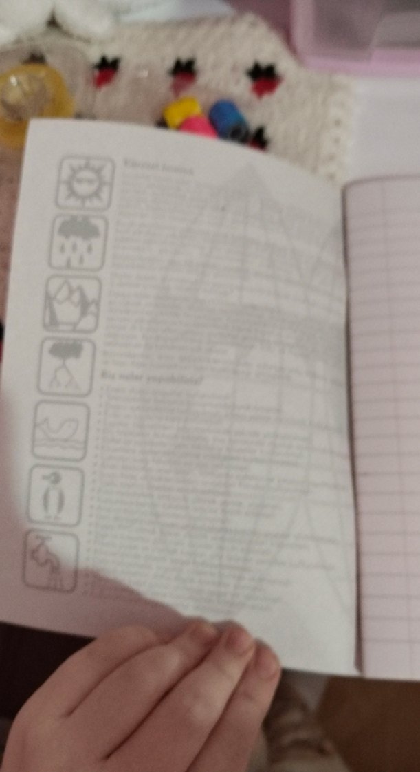 Renkli Pembe Kedi Aksesuarı Defteri - Görsel 3