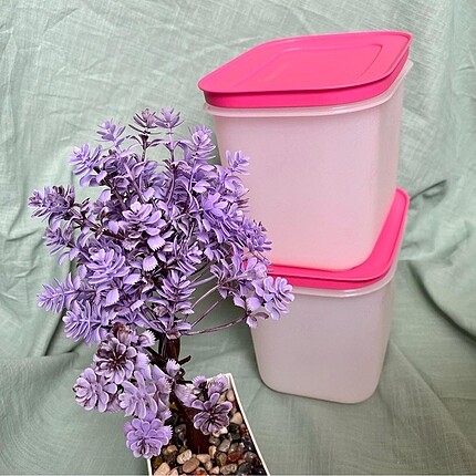 Tupperware Alaska