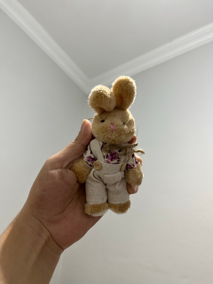 Bej Peluş Tavşan anahtarlık - Görsel 2