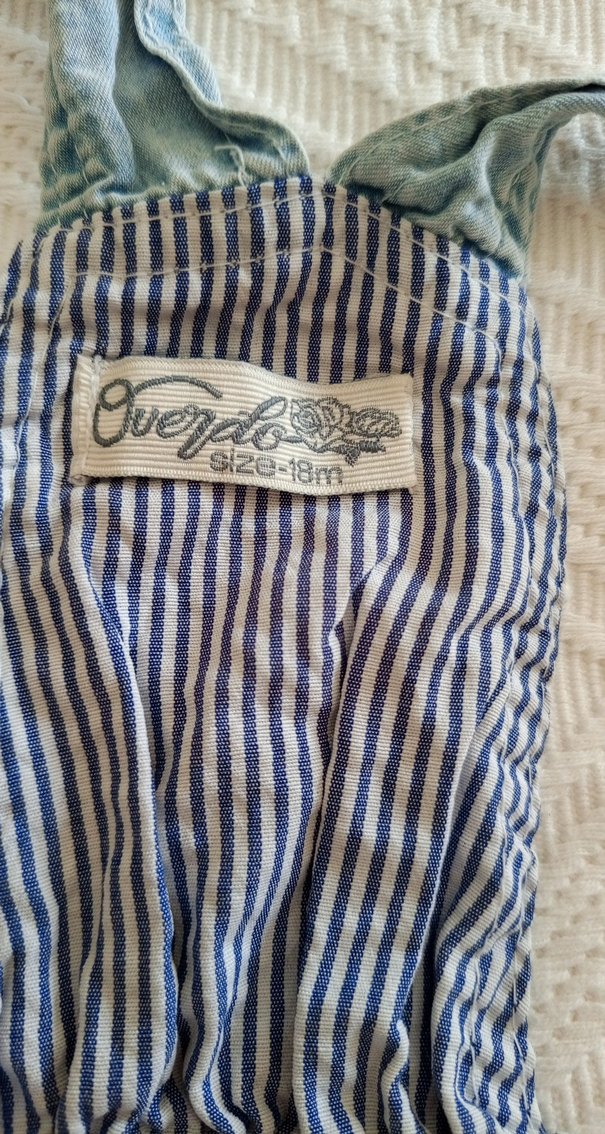 Nakışlı Mavi Denim  Salopet - Görsel 2