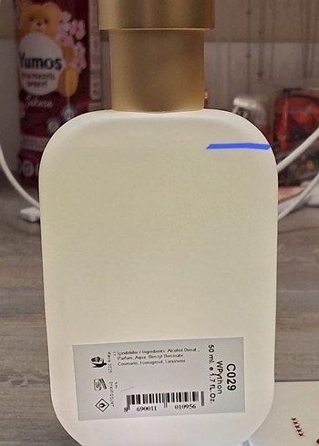 MUSCENT C029 WPhyton - Görsel 3