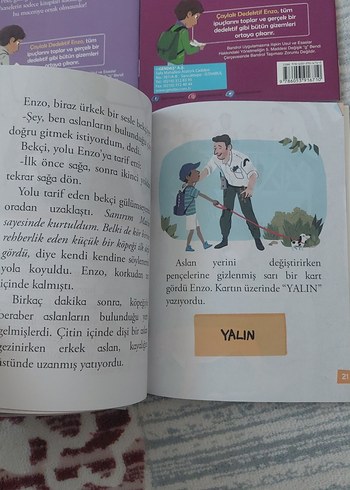 Çaylak Dedektif Çocuk Kitapları Seti - Görsel 6