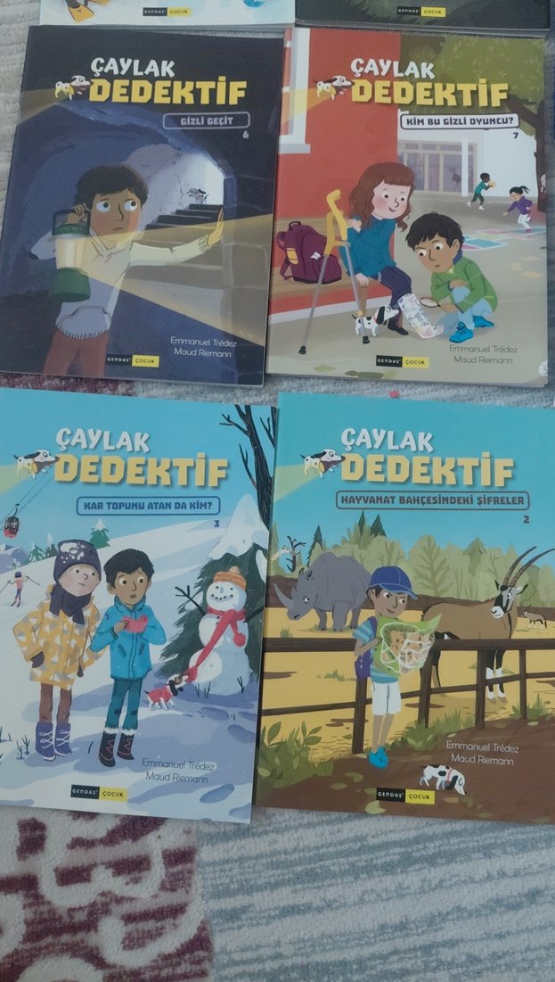 Çaylak Dedektif Çocuk Kitapları Seti - Görsel 2