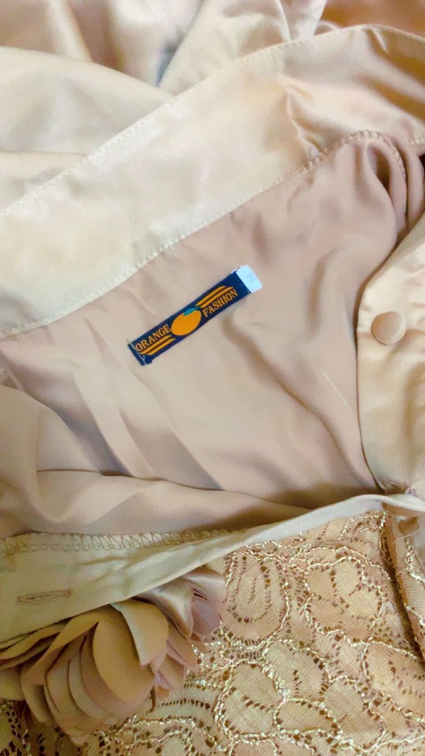 Bej Nakışlı Uzun Abiye Elbise - Görsel 4