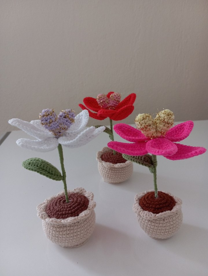 İçi Sürprizli Örgü Saksılı Lale - Görsel 3