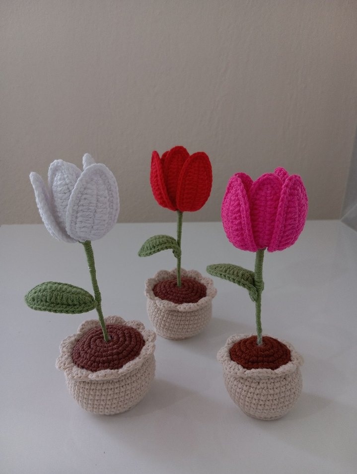İçi Sürprizli Örgü Saksılı Lale - Görsel 2