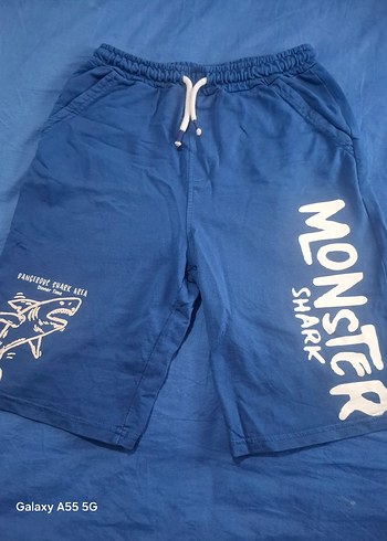 LC Waikiki 11-12 Yaş