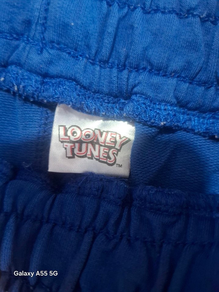 Renkli Baskılı Erkek Çocuk Şortu Velcro - Görsel 2