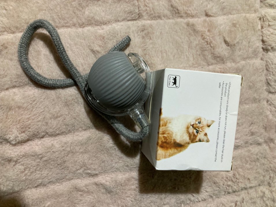 Şarjlı Kedi Köpek Oyuncağı Topu - Görsel 2