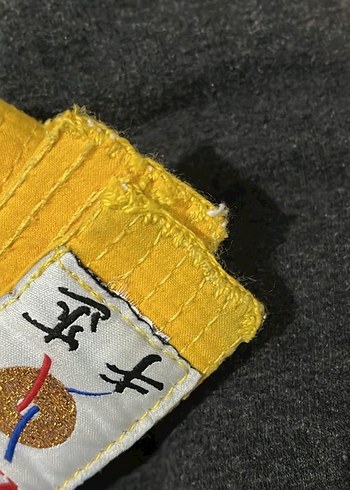 Sarı kuşak - Görsel 2