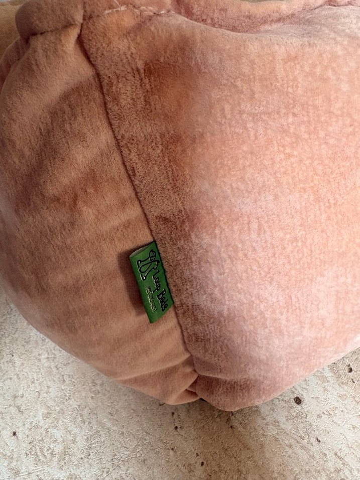 Kedi Yatağı - Görsel 2