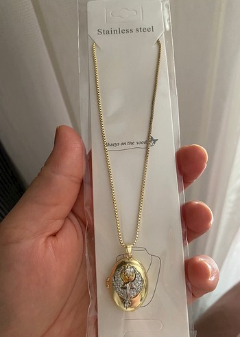 Çelik Anka kuşu madalyon kolye - Görsel 3