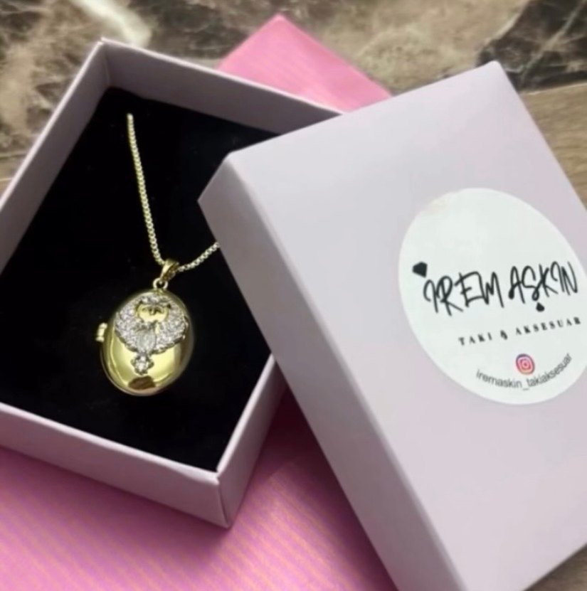 Çelik Anka kuşu madalyon kolye - Görsel 4