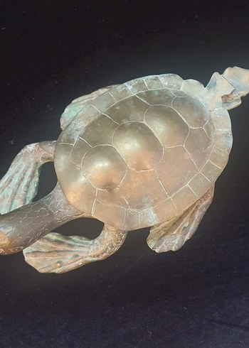 Kahverengi Deniz Kaplumbağası Heykeli Bronz CARETTA CARETTA - Görsel 7