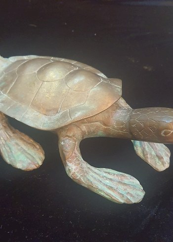 Kahverengi Deniz Kaplumbağası Heykeli Bronz CARETTA CARETTA - Görsel 6